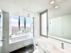 One Amber (D15), Condominium #504222981